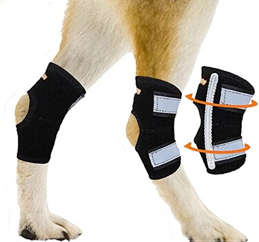 NeoAlly Super Supportive Dog Braces for Rear Leg and Hock Joint with Dual Metal Spring Strips Stabilize Canine hind Legs from Wound Injury Sprains Arthritis M Pair