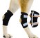 NeoAlly Super Supportive Dog Braces for Rear Leg and Hock Joint with Dual Metal Spring Strips Stabilize Canine hind Legs from Wound Injury Sprains Arthritis M Pair