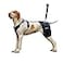 LISPOO Dog Hip Support Brace Adjustable Dog Leg Brace for Hip DysplasiaArthritisPain Relief Warm Breathable Luxating Patella Stabilizer PostSurgery RecoverySize L