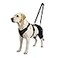 LISPOO Dog Hip Support Brace Adjustable Dog Leg Brace for Hip DysplasiaArthritisPain Relief Warm Breathable Luxating Patella Stabilizer PostSurgery RecoverySize XXL