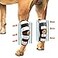 NeoAlly 3in1 Long Rear Leg Hock Brace Dog Leg Brace for Rear Leg with Rigid Spring Inserts Hock and Ankle Support Dog Leg Sleeve with Reflective Straps Small 1 Pair