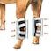 NeoAlly 3in1 Long Rear Leg Hock Brace Dog Leg Brace for Rear Leg with Rigid Spring Inserts Hock and Ankle Support Dog Leg Sleeve with Reflective Straps Small 1 Pair