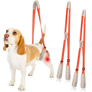 Mixweer 2 Pcs Dog Support Harness for Back Legs Dog Rear Lifting Sling Aid with Handle and Shoulder Strap Hind Leg Support for Pet Mobility Helps Puppy with Poor Stability Joint InjuriesOrange