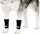 NeoAlly Dog Canine Front Leg Compression Braces Super Supportive with Metal Spring Strips to Stabilize Dog Front Leg Wrist Carpal Prevents Leg Injuries Sprains SM Pair