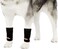 NeoAlly Dog Canine Front Leg Compression Braces Super Supportive with Metal Spring Strips to Stabilize Dog Front Leg Wrist Carpal Prevents Leg Injuries Sprains SM Pair