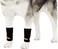 NeoAlly Dog Canine Front Leg Compression Braces Super Supportive with Metal Spring Strips to Stabilize Dog Front Leg Wrist Carpal Prevents Leg Injuries Sprains SM Pair