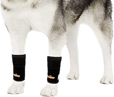 NeoAlly Dog Canine Front Leg Compression Braces Super Supportive with Metal Spring Strips to Stabilize Dog Front Leg Wrist Carpal Prevents Leg Injuries Sprains LXL Pair