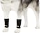 NeoAlly Dog Canine Front Leg Compression Braces Super Supportive with Metal Spring Strips to Stabilize Dog Front Leg Wrist Carpal Prevents Leg Injuries Sprains LXL Pair