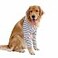 HDKUW Dog Elbow Protector for Calluses Dog Joint Recovery Sleeve for Prevent Licking Wound Elbow Sleeves with Mesh Pad for Medium Large Dogs Stripe 2XL