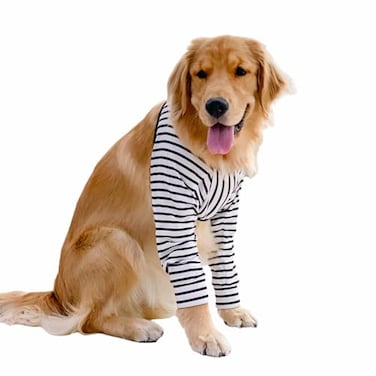 HDKUW Dog Elbow Protector for Calluses Dog Joint Recovery Sleeve for Prevent Licking Wound Elbow Sleeves with Mesh Pad for Medium Large Dogs Stripe 2XL