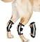 NeoAlly Super Supportive Dog Braces for Rear Legs and Hock Joints with Dual Metal Spring Strips Stabilize Canine hind Legs from Wound Injury Sprains Arthritis Large Pair
