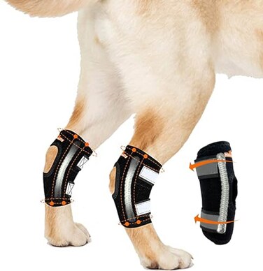 NeoAlly Super Supportive Dog Braces for Rear Legs and Hock Joints with Dual Metal Spring Strips Stabilize Canine hind Legs from Wound Injury Sprains Arthritis Large Pair