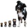Taituki Dog Front Leg Brace Veterinary Grade Front Leg Support for Carpal Laxity Injuries Arthritis PostSurgery Recovery Medium