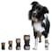Taituki Dog Front Leg Brace Veterinary Grade Front Leg Support for Carpal Laxity Injuries Arthritis PostSurgery Recovery Medium