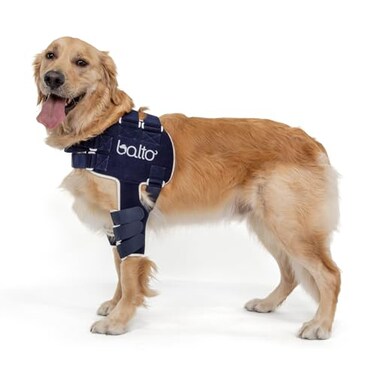 Balto Lux Adjustable Dog Shoulder Brace Shoulder Brace Support Shoulder dysplasia Post Surgical Support or Surgical Alternative Medium