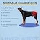 LISPOO Breathable Dog Hip Support Brace for Large Dogs Adjustable Canine Orthopedic Brace for Hip Dysplasia Perfect for Supporting DobermansL