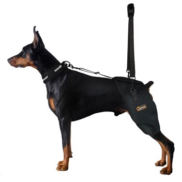 LISPOO Breathable Dog Hip Support Brace for Large Dogs Adjustable Canine Orthopedic Brace for Hip Dysplasia Perfect for Supporting DobermansL
