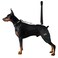 LISPOO Breathable Dog Hip Support Brace for Large Dogs Adjustable Canine Orthopedic Brace for Hip Dysplasia Perfect for Supporting DobermansL