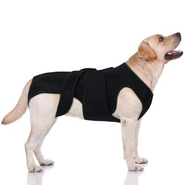LeleTail Dog Spine Support Brace for Large Breeds Heavy Duty Back Support Brace with 5 Reinforced Rods Adjustable for Joint Support or PostSurgery Needs Black XL
