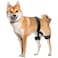 CHAMIN Dog Hip Brace Support Harness for Hip Dysplasia Joint Pain Relief Prevents Hip Joint Issues Orthopedic Support for DogsLarge