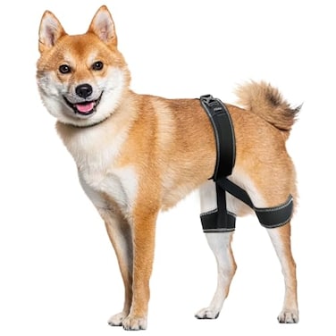 CHAMIN Dog Hip Brace Support Harness for Hip Dysplasia Joint Pain Relief Prevents Hip Joint Issues Orthopedic Support for DogsLarge