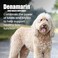 Nutramax Laboratories Nutramax Denamarin for Large Dogs Liver Health Supplement with Sadenosylmethionine SAMe plus Silybin Liver Support for Dogs Coated Tablets 30 Count