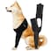 Suitical Recovery Sleeve for Dogs Interchangeable Single Sleeve Front Leg Protection for PostSurgery Hot Spots or Skin Issues Breathable Machine Washable L Black Chest 252331 in