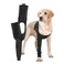 Suitical Recovery Sleeve Dog Medium Black