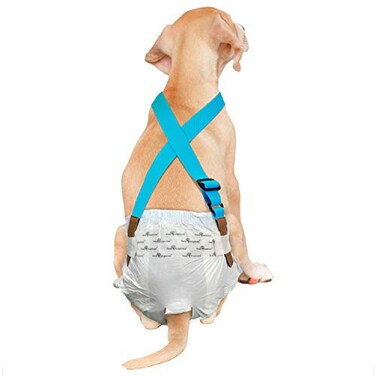 PAW Inspired Dog Diaper Suspenders Blue SmallMedium