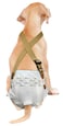 PAW Inspired Dog Diaper Suspenders Brown SmallMedium