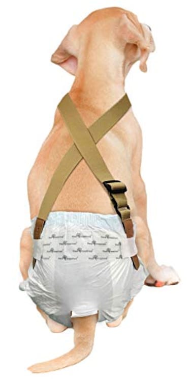 PAW Inspired Dog Diaper Suspenders Brown SmallMedium
