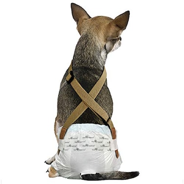 PAW Inspired Dog Diaper Suspenders Brown XSmallSmall