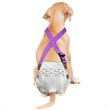 PAW Inspired Dog Diaper Suspenders Purple SmallMedium