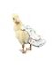 HEZHUO Poultry Diapers Waterproof Adjustable Washable Reusable for Ducks Chickens Geese XL 350g450g