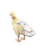 HEZHUO Poultry Diapers Waterproof Adjustable Washable Reusable for Ducks Chickens Geese XL 350g450g