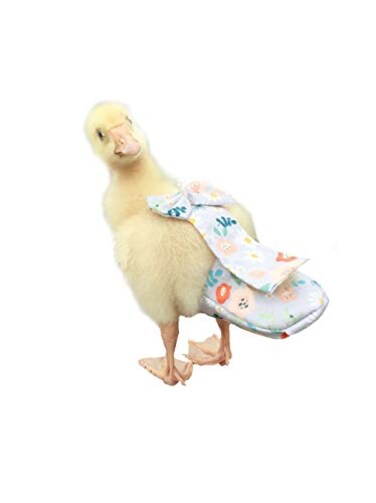 HEZHUO Poultry Diapers Waterproof Adjustable Washable Reusable for Ducks Chickens Geese XL 350g450g