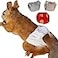 WCDJOMOP Reusable Washable Squirrel Diapers Highly Absorbent with Strong Flexible Pants No Leak Reusable Diapers Urine Wet Pants for SquirrelFancy RatGroundhog M 39 63 3 Pcs