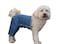 Mozzie Pants Original Dog Pants ECollar Alternative Dog Diaper Pajamas Large Blue