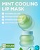 TOCOBO Mint Cooling Lip Mask Cooling Relief Lip Sleeping Mask for Dry Irritated Lips Apple Mint Tea TreeDerived 4Terpineol Olive Oil Soft Melting Texture Fresh Herb Scent 068 oz
