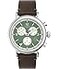 Timex Mens Standard Chronograph 41mm Watch Brown Strap Green Dial SilverTone Case