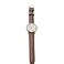 Boeing Mens Rotating Plane Watch GoldBrown