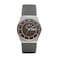 Skagen Mens Melbye ThreeHand Day Date Charcoal Gray Titanium Mesh Band Watch Model SKW6007