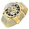 Dentily Classic Mens Watches Roman Numeral Mechanical Watch HandWind Skeleton Steampunk Watch for Men GoldBlack