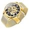 Dentily Classic Mens Watches Roman Numeral Mechanical Watch HandWind Skeleton Steampunk Watch for Men GoldBlack