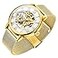 Dentily Mens Skeleton Watch Classic Roman Numeral Steampunk Watch Mechanical HandWind Mens Watches