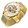 Dentily Mens Skeleton Watch Classic Roman Numeral Steampunk Watch Mechanical HandWind Mens Watches