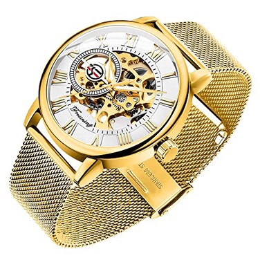 Dentily Mens Skeleton Watch Classic Roman Numeral Steampunk Watch Mechanical HandWind Mens Watches