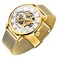 Dentily Mens Skeleton Watch Classic Roman Numeral Steampunk Watch Mechanical HandWind Mens Watches