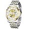 Dentily Mens Mechanical Watch Stainless Steel Skeleton Automatic Business Watches for Men