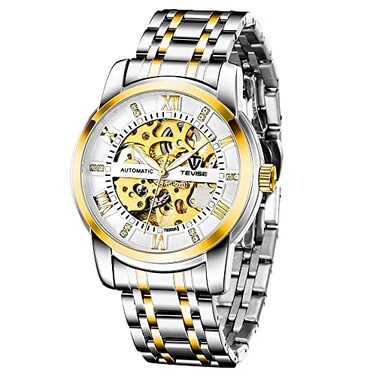 Dentily Mens Mechanical Watch Stainless Steel Skeleton Automatic Business Watches for Men